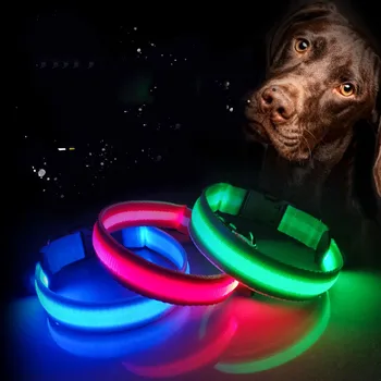 LED Šunų Antkaklis Šviesos Naminių Reikmenys Šunų Antkaklis Waterpoof Saugos Švyti Karoliai Mirksi Apšvietimas Iki Antkakliai Priedai