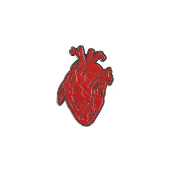 Širdies Anatomija Emalį, Segtukai, Raudona Širdies Diagrama Sagė Atvartas Emblemos Organų Papuošalai Dovana Medicinos Studentas Draugais